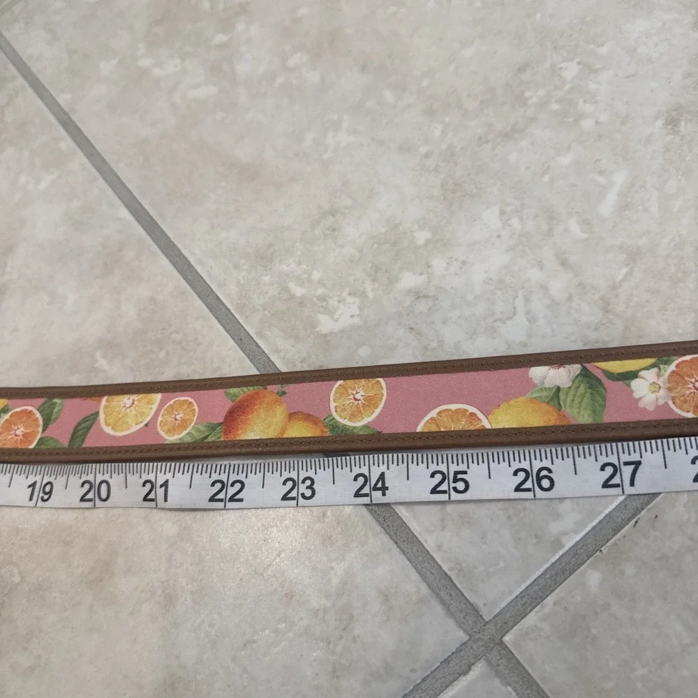 Talbots Pink Belt Orange Fruit Print Leather Trim Gold Tone Buckle Sz L Preppy